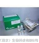 牛溶菌酶Lysozyme elisa试剂盒南京厂家,牛溶菌酶elisa试剂盒价格_森贝伽(南京)生物科技