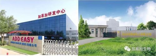 设立潍坊加易加生物科技有限公司(滨海工厂),潍坊鸿鸣生物科技有限