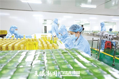 贵州油茶: 精深加工突围 带动全产业链升级
